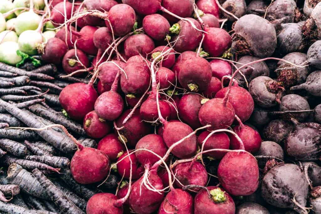 Crop Harvest Calendar for Utah: Black carrots, radishes and roots 