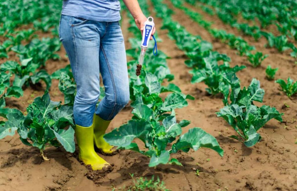 Woman Use Digital Soil Meter in The Soil