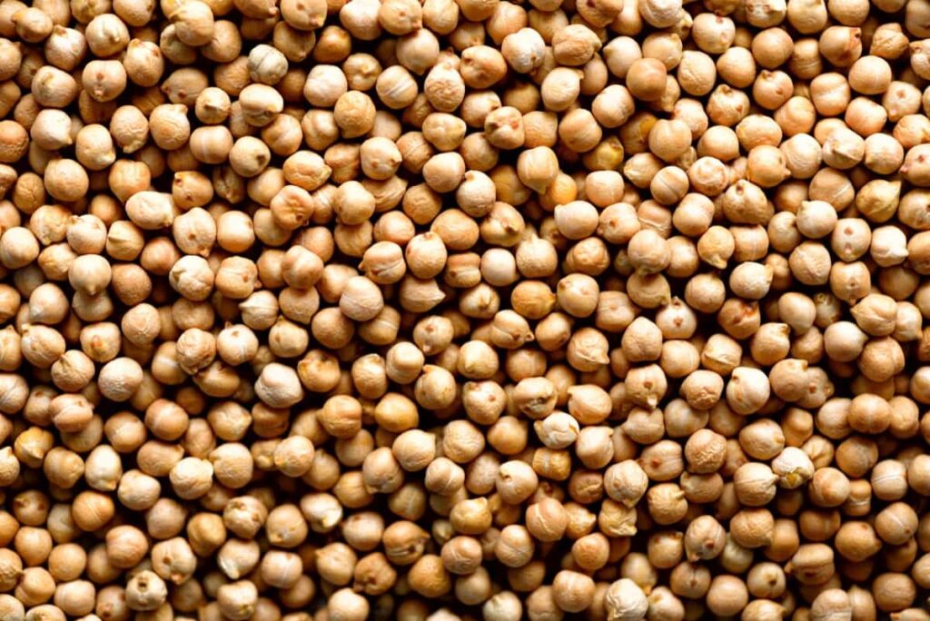 Raw organic dried chickpea in the market
