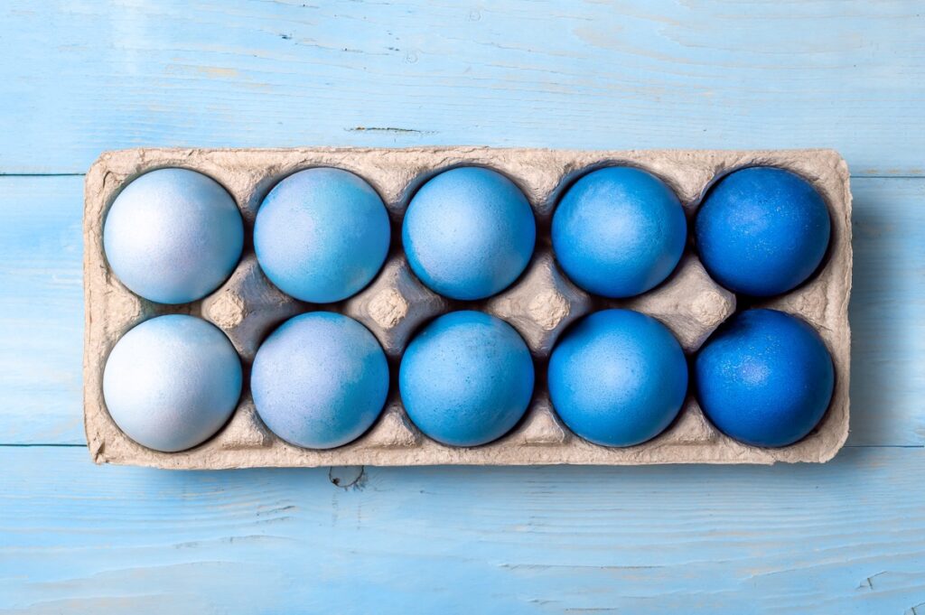 Blue Chicken Eggs in a Egg Try
