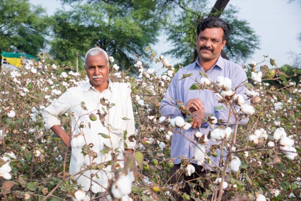 Cotton Cultivation Cost4