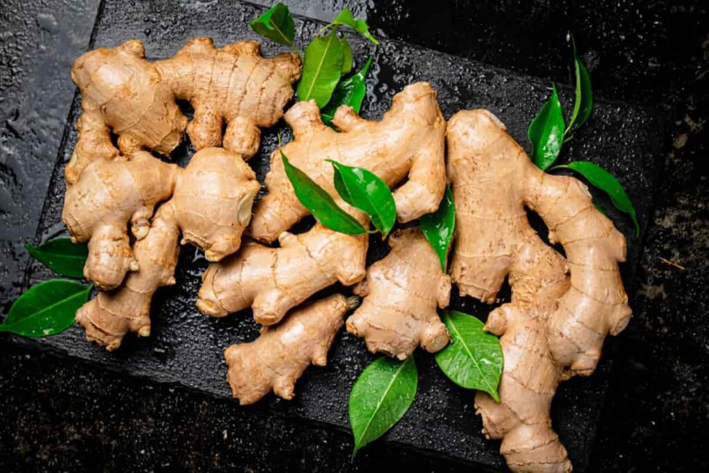 Ginger Cultivation Cost