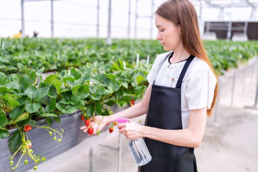 How to Manage Pests and Diseases in Commercial Nurseries