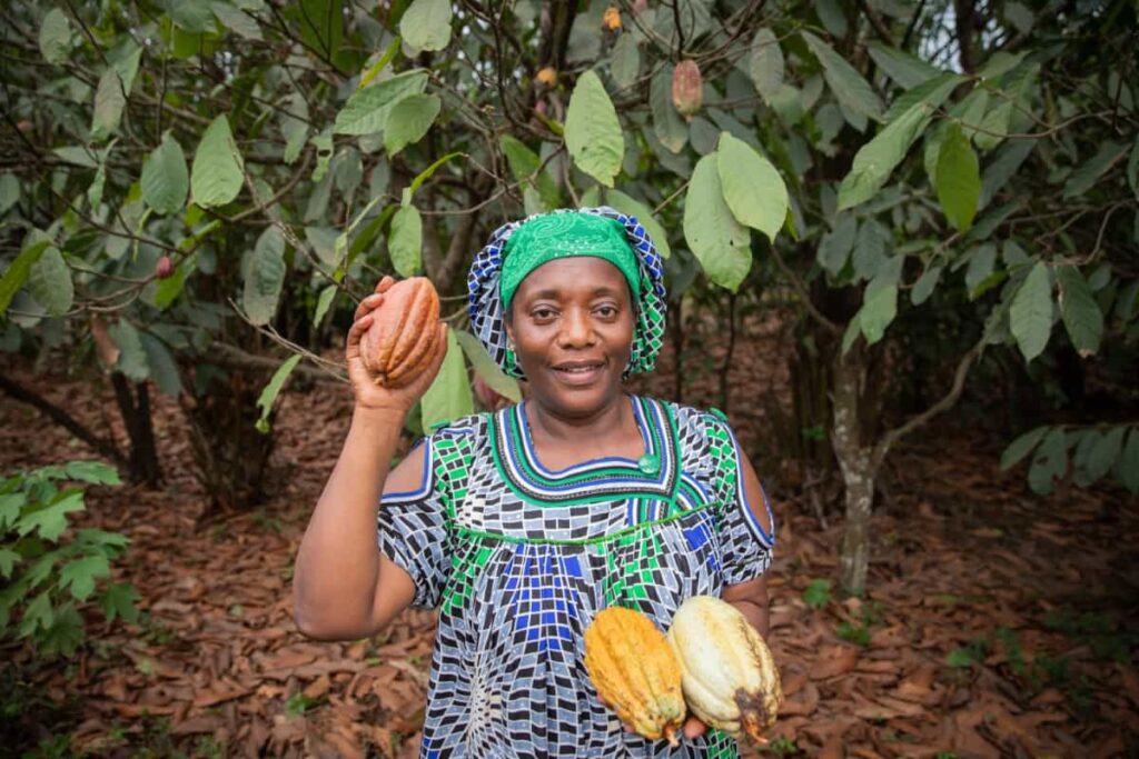 African Farmer with Freshly Harvested Cocoa Pod