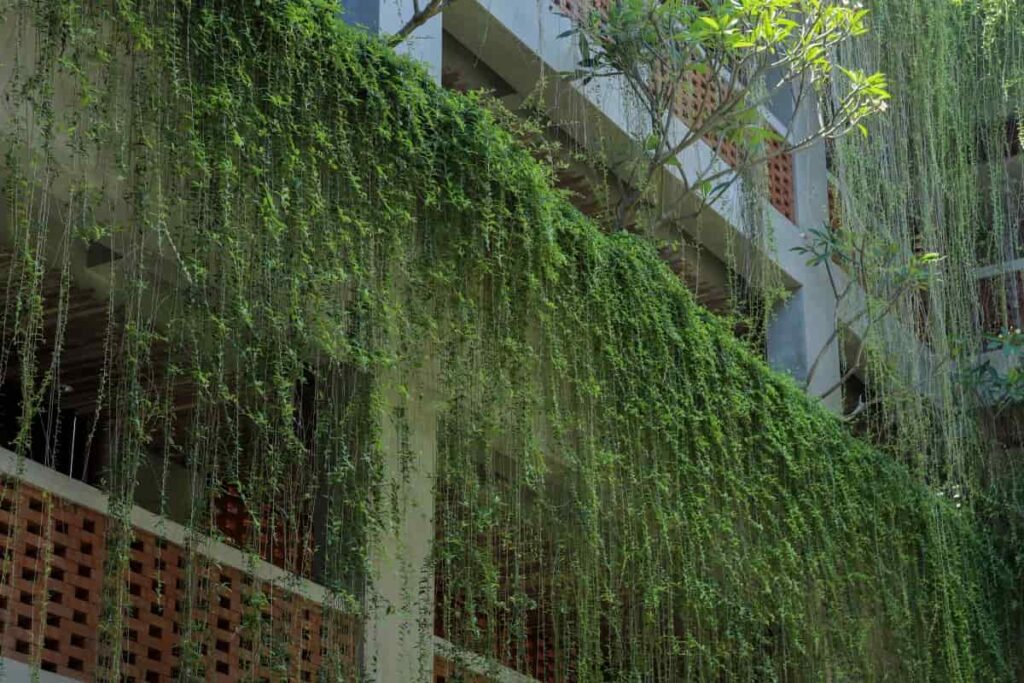 Green Apartment Concept