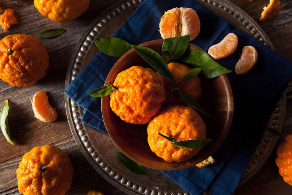 Raw Organic Gold Nugget Mandarin Oranges