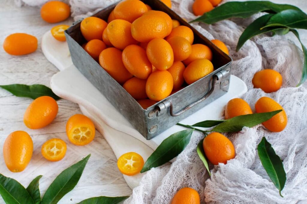 Kumquat Fruits