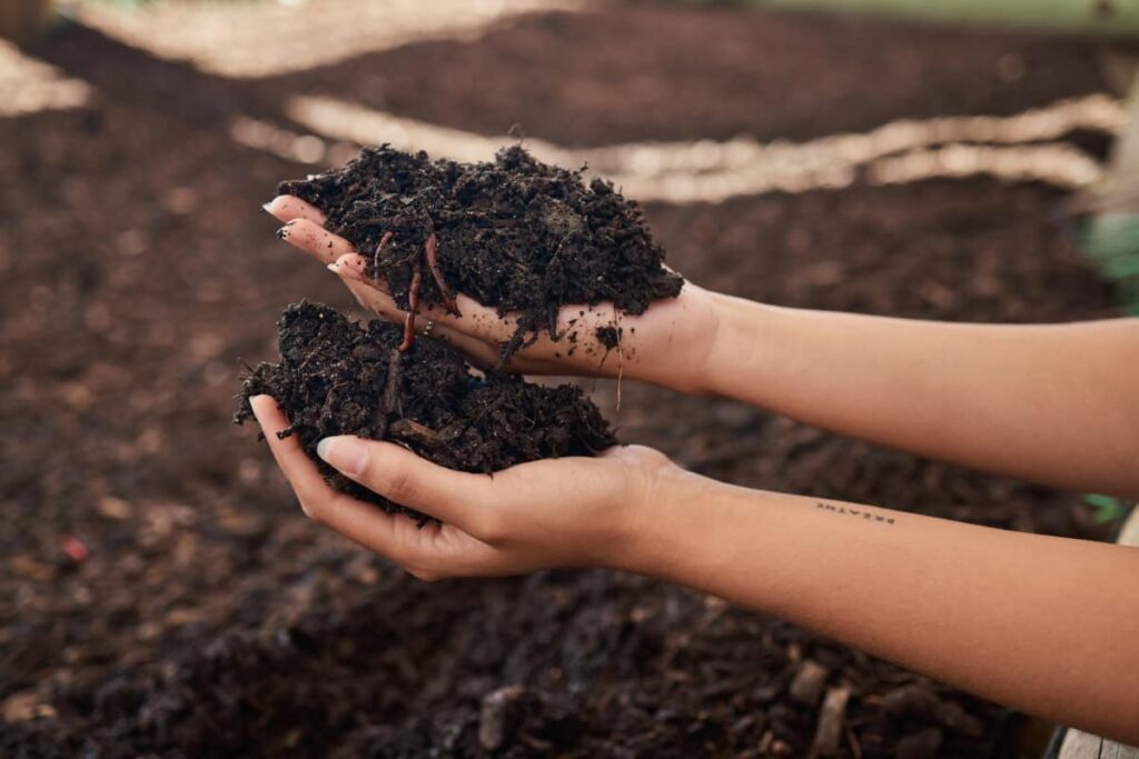 Organic Compost Production Cost

