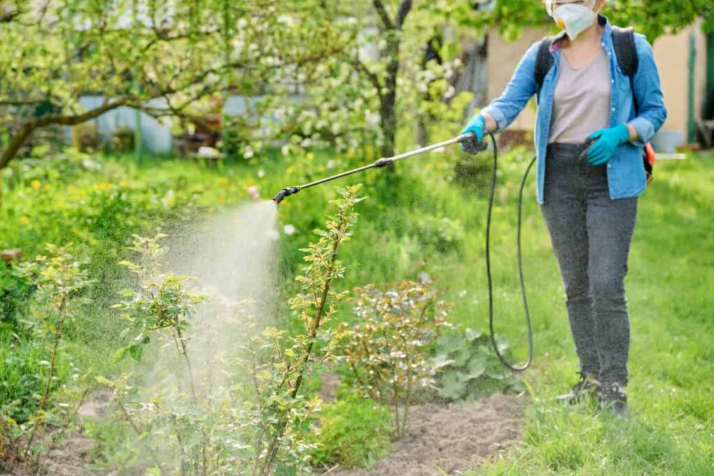 Sevin Insect Killer Dust for Plants