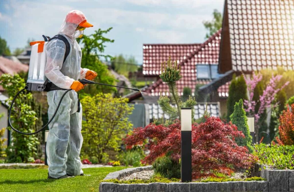 Garden Insecticide by Professional Gardener