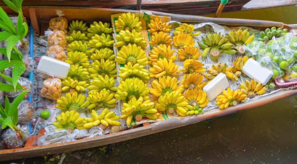Thai Banana Cultivation