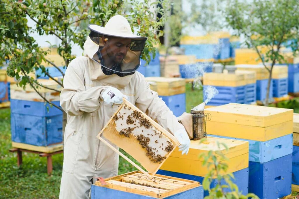 Beekeeper Working 