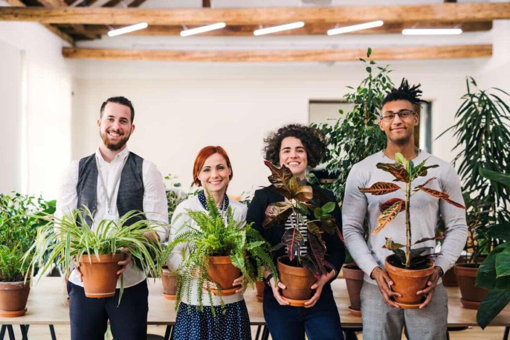 Businesspeople Holding Plants