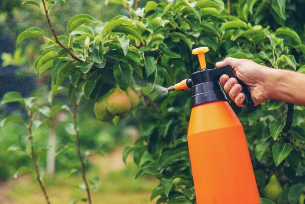 10 Best Natural Pesticides for Fruit Trees