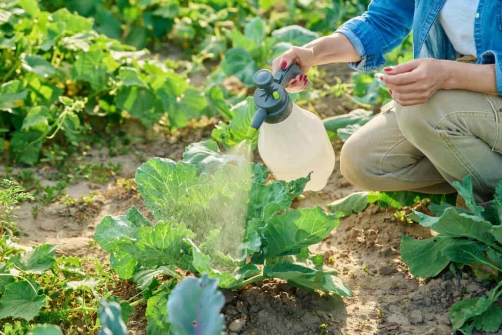 10 Best Natural Pesticides for Vegetable Garden