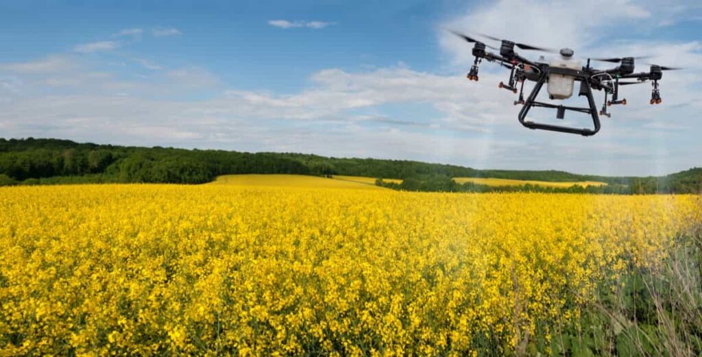 Drone Technology for Weed Management 