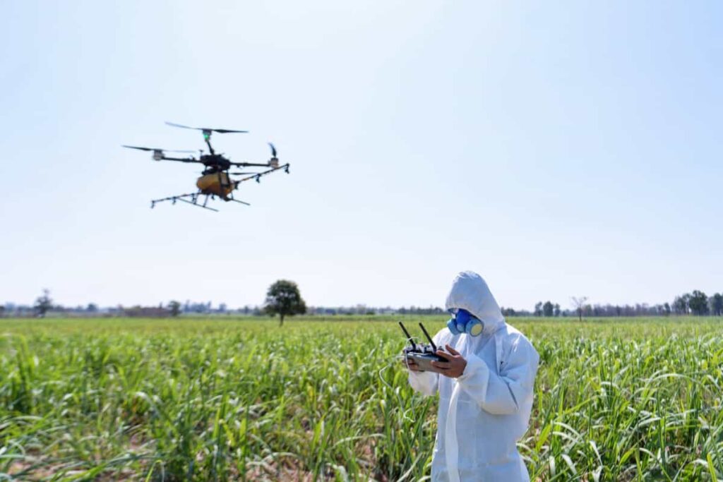 Farmer flying drone to spray insecticide in the farm