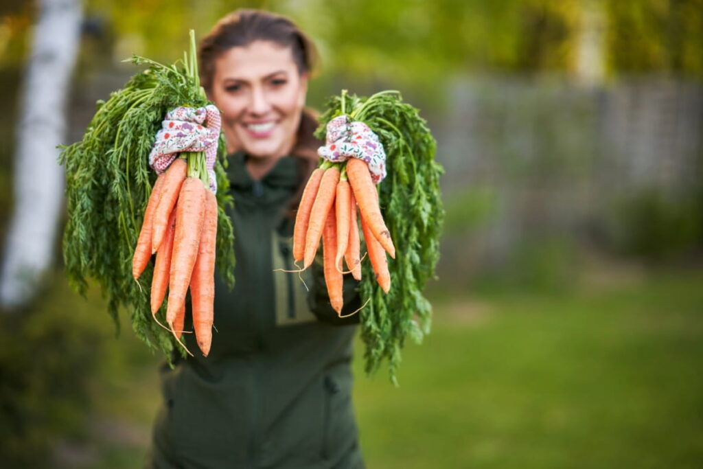 Planting Carrots in Grow Bags
