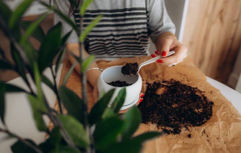 Espresso Your Garden: Coffee Grounds for Healthier Acid-Loving Plants